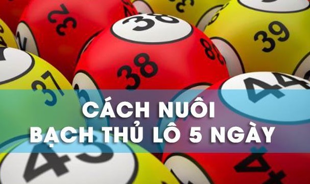 Bạch thủ lô khung 5 ngày bất bại miễn phí